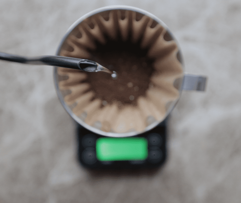 How to brew coffee using Kalita Wave with Ryan Waldroop