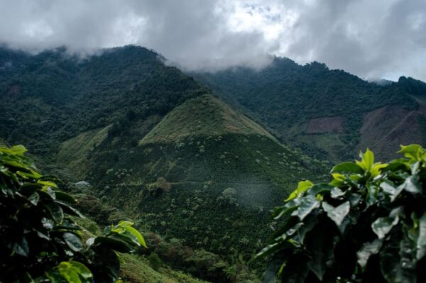 cafelumbus la colombia moutain